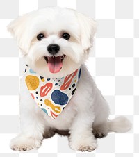 PNG dog scarf, design element, transparent background