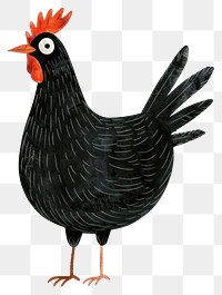 PNG Chicken poultry rooster animal.