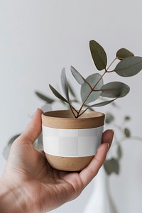 PNG potted plant craft label mockup, transparent design