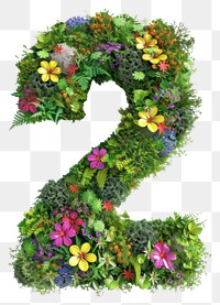 PNG  2 Number number flower graphics.