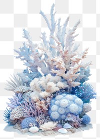 PNG Border coral invertebrate outdoors aquarium.
