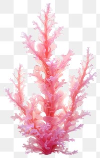 PNG Coral chandelier outdoors seaweed.