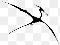 PNG Pterosaurs silhouette waterfowl weaponry.