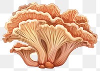 PNG Mushroom Coral mushroom amanita jacuzzi.