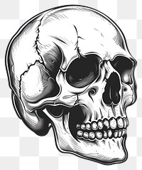 PNG Vintage skull tattoo flat illustration illustrated drawing sketch.