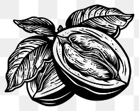 PNG Walnut bean tattoo flat illustration illustrated drawing sketch.