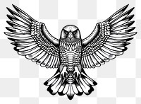 PNG Hawk tattoo flat illustration illustrated drawing animal.