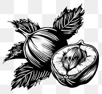 PNG Hazelnut tattoo flat illustration illustrated drawing produce.