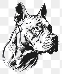 PNG Pitbull tattoo flat illustration illustrated kangaroo drawing.