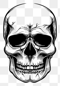 PNG Skull tattoo flat illustration logo illustrated photography.