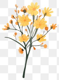 PNG Watercolor floral flower asteraceae daffodil.