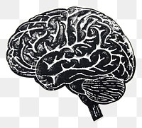 PNG Brain shaped rubber stamp illustrated outdoors drawing.