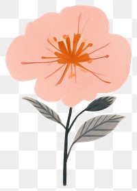 PNG Watercolor floral flower illustrated graphics.
