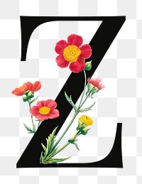 PNG Letter Z floral font, transparent background