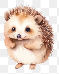 Cute hedgehog png watercolor animal, transparent background
