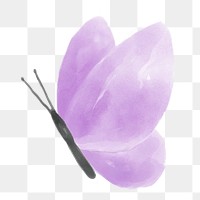 Purple butterfly png watercolor animal, transparent background