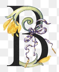 Letter B png botanical calligraphic art alphabet, transparent background