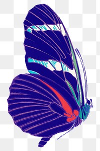PNG vintage blue butterfly, Seguy Papillons art illustration, transparent background