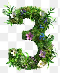 PNG  3 Number wreath symbol plant.