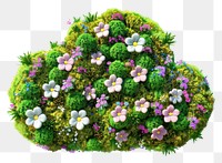 PNG  Cloud symbol flower moss vegetation.