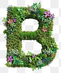 PNG  B letter moss wreath plant.