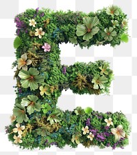 PNG  E letter symbol number plant.