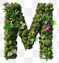 PNG  M letter flower moss accessories.