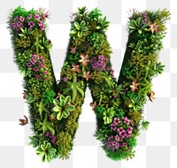 PNG  W letter flower green moss.