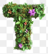 PNG  T letter flower nature green.
