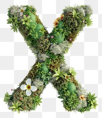 PNG  X letter flower moss graphics.
