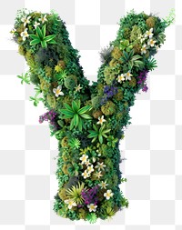 PNG  Y letter flower green moss.