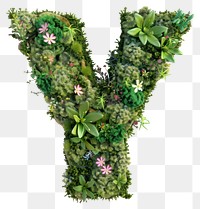 PNG  Y letter flower green moss.