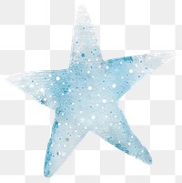 PNG Clean light blue star glitter outdoors animal nature.