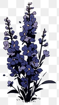 PNG Delphinium flower lavender blossom plant.