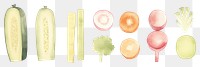 PNG Food as divider watercolor vegetable cucumber produce.