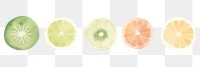PNG Fruits as divider watercolor grapefruit weaponry cooking.