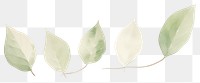 PNG Leaves as divider watercolor blossom herbal animal.