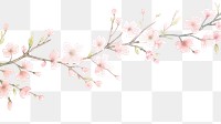 PNG Sakura as divider watercolor blossom flower plant.