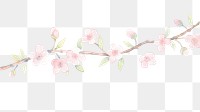 PNG Sakura as divider watercolor blossom flower plant.