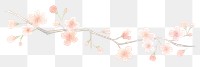 PNG Sakura as divider watercolor blossom flower plant.