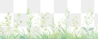 PNG Spring as divider watercolor vegetation graphics outdoors.