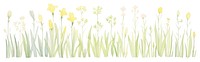 PNG Spring as divider watercolor illustrated daffodil painting.