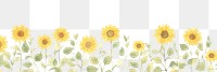 PNG Sunflowers as divider watercolor asteraceae graphics blossom.