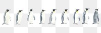 PNG Penguins as divider watercolor animal bird king penguin.