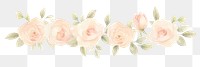 PNG Roses as divider watercolor graphics blossom pattern.