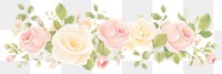 PNG Roses as divider watercolor graphics blossom pattern.