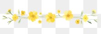 PNG Yellow flower as divider watercolor asteraceae graphics daffodil.