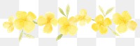 PNG Yellow flower as divider watercolor asteraceae daffodil graphics.