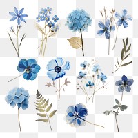 Pressed blue flowers png cut out set