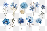 Pressed blue flowers png cut out set